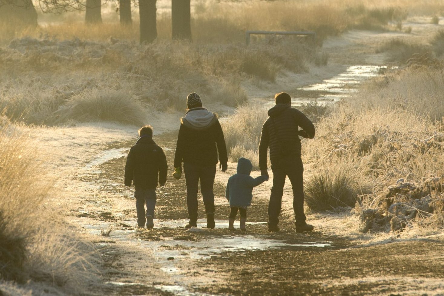 Family of four walking along a path